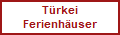 Eichhrnchen bei der Arbeit