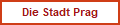Kegelrobben Beobachtung Dezember 2018