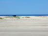 Strand Fan Bad Bild 010