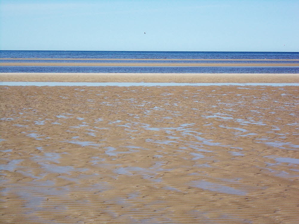 Strand Fan Bad Bild 016