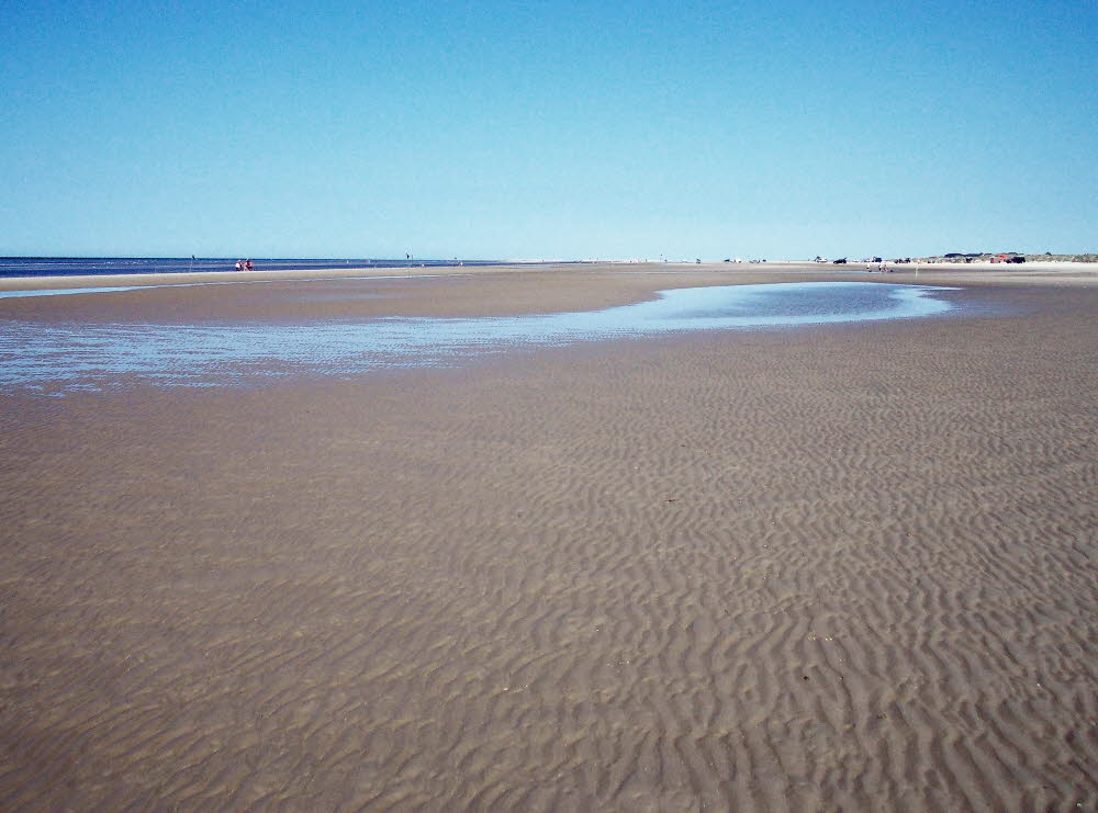 Strand Fan Bad Bild 018