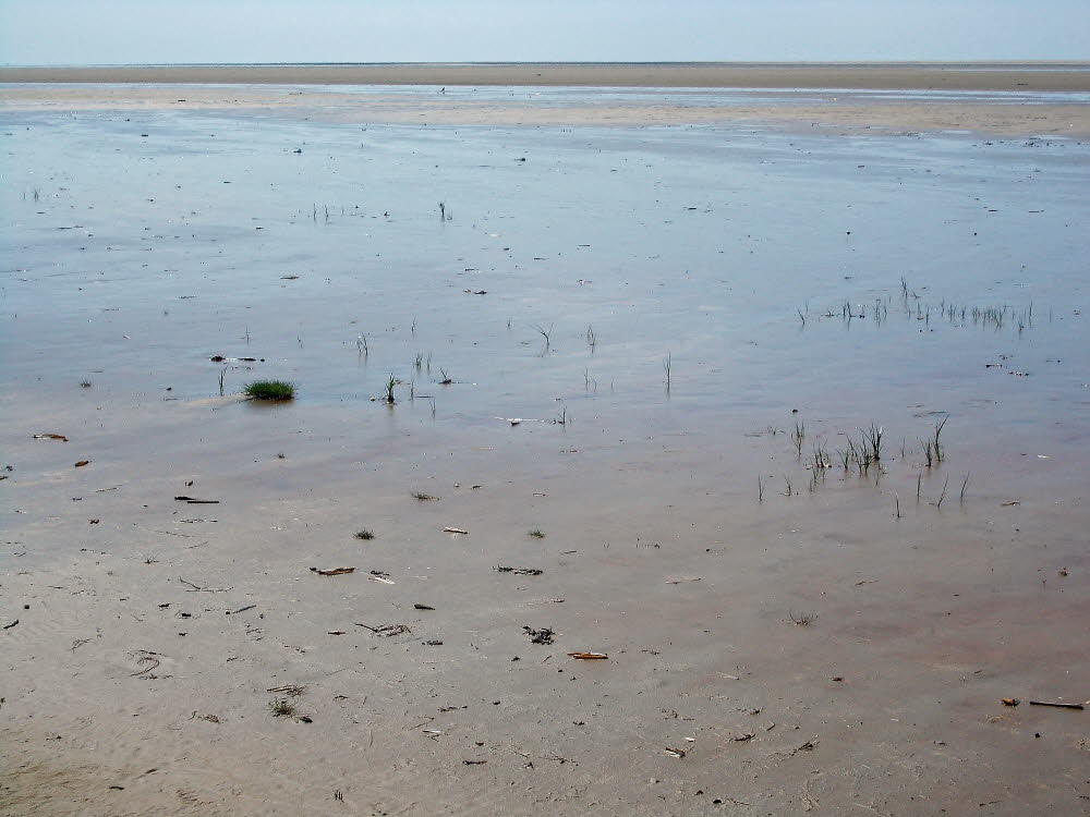 Strand Fan Bad Bild 033