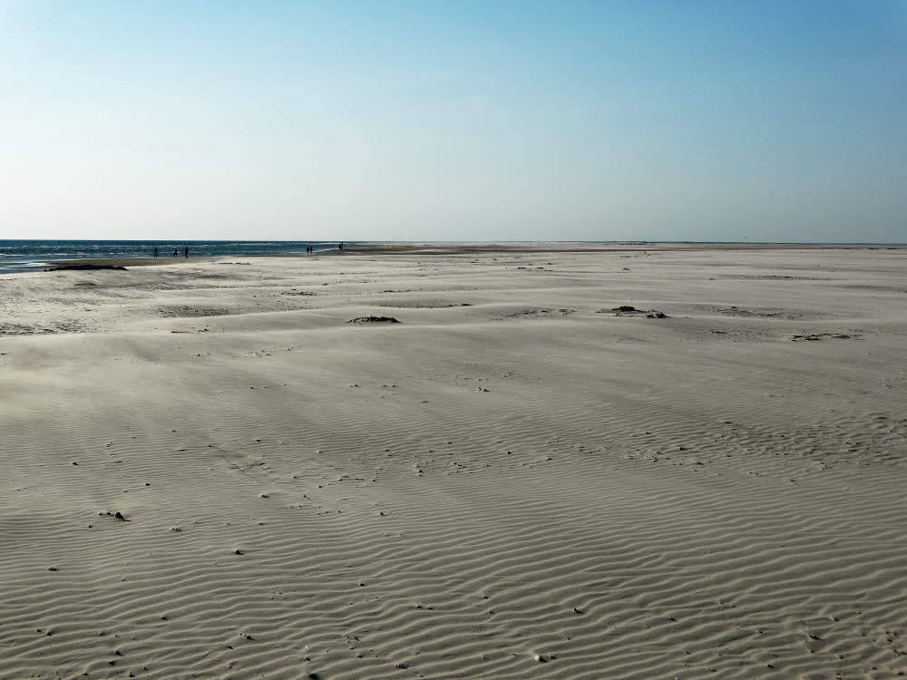 Strand Fan Bad Bild 046