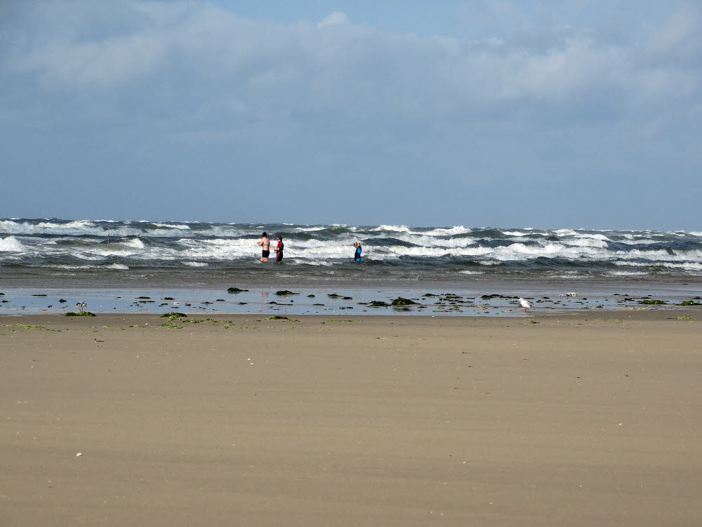 Strand Fan Bad Bild 056