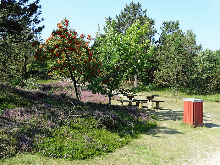 fanoe annesdal berg 005