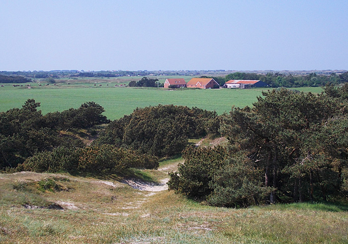 fanoe gronningen 011