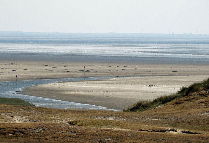 fanoe wattenmeer 007