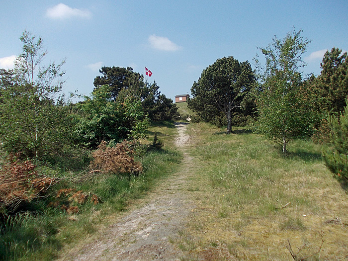 kikkeberg 006